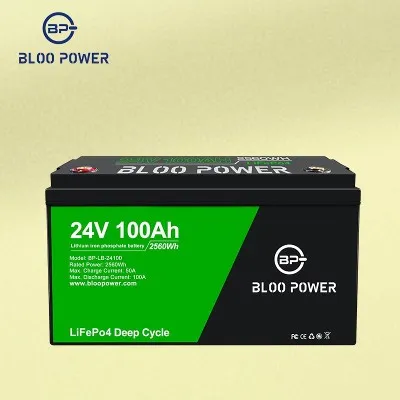 24V 100Ah lithium-ion-batteri